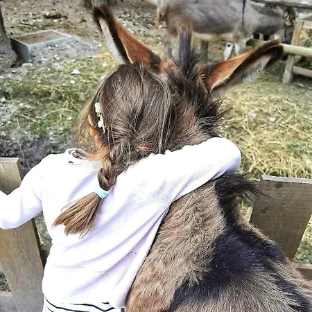 La Enchantee, Insolite A La Ferme *