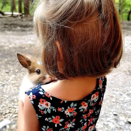 La Enchantee, Insolite A La Ferme Campsite
